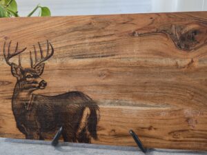 Acacia White-tail Deer